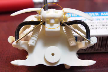 �K�C�h�摜30