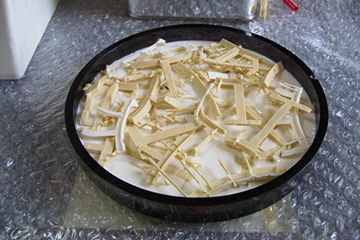 �K�C�h�摜28